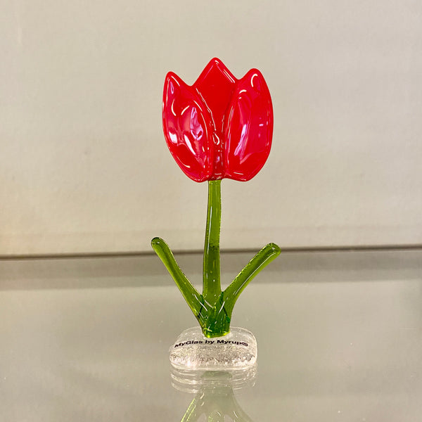 Tulipaner