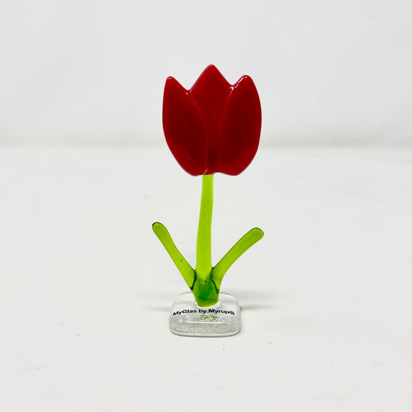 Tulipaner