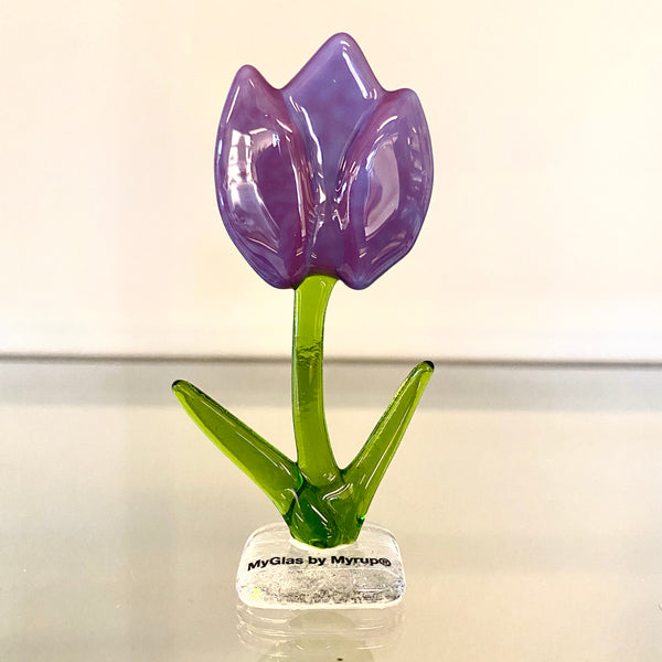 Tulipaner