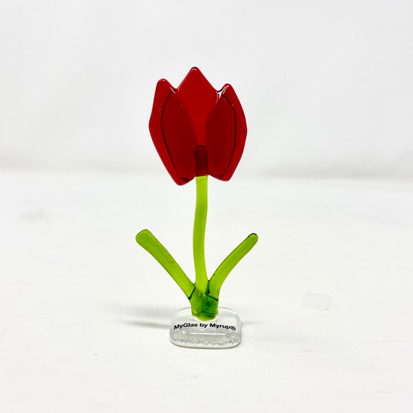 Tulipaner